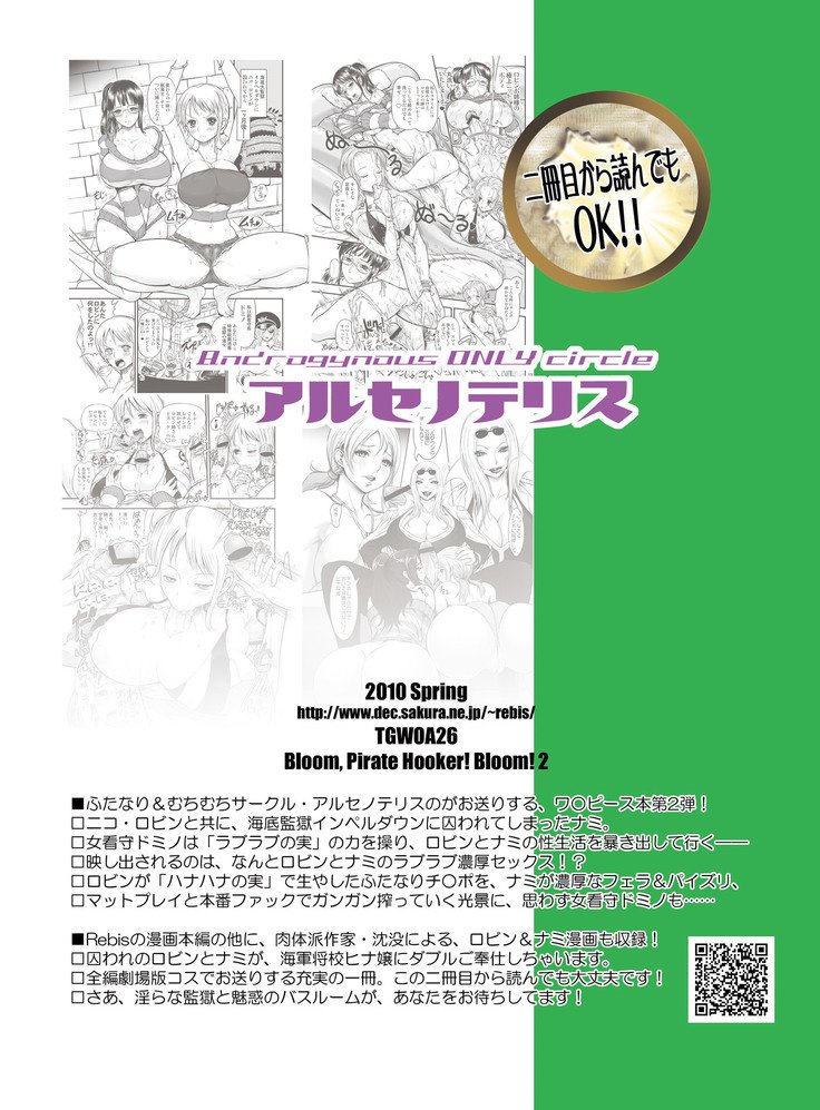 ミダレザキ城州海族2-ロビンとナミのラブラブ絞り絞り編-