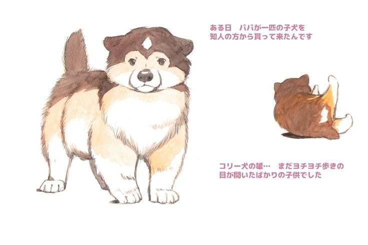 ひみつの犬子クラブスウィート|シークレットパピークラブスウィート