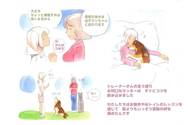 ひみつの犬子クラブスウィート|シークレットパピークラブスウィート