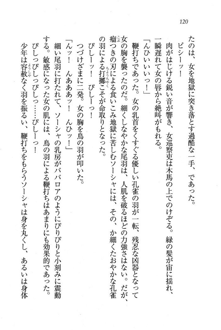 サーカス〜聖杯の魔法使い