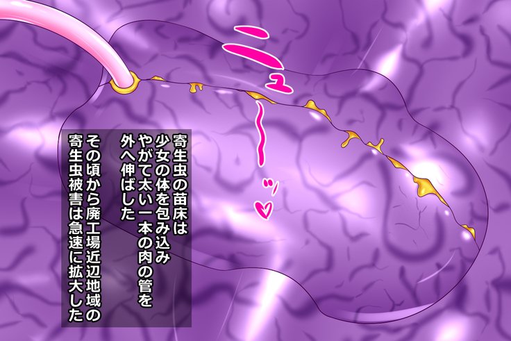 フォース2による共生-進化-