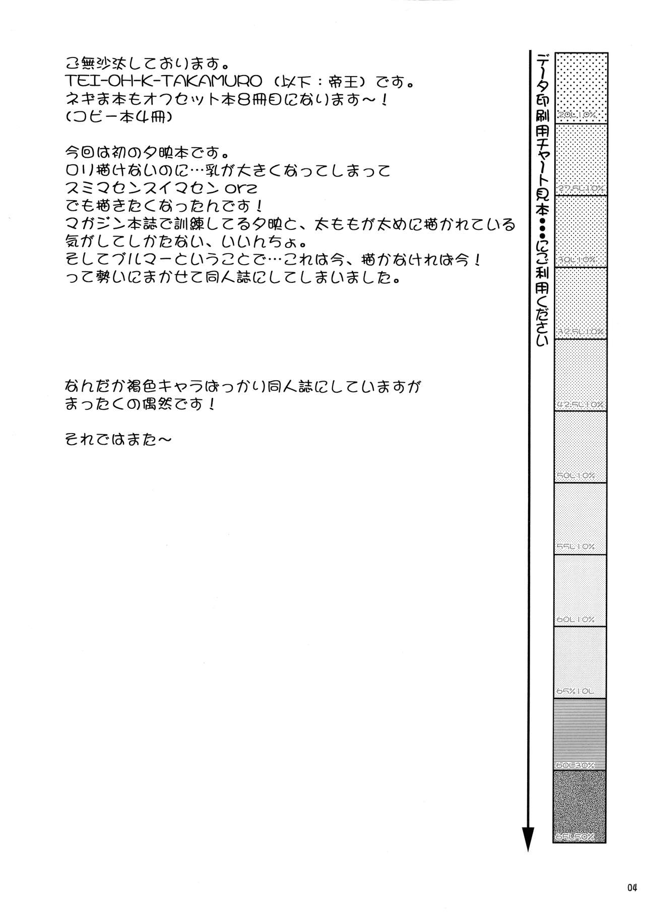 (C74) [ひじょうぐち (TEI-OH-K-TAKAMURO)] C.C.Bloomer (魔法先生ネギま!)