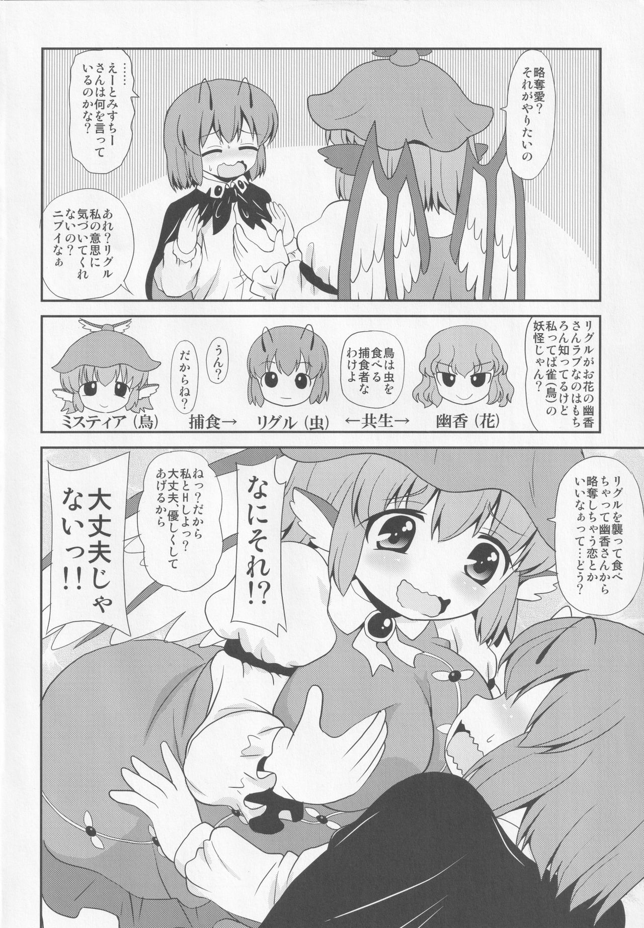 [魔導資料室 (嵐-D-悪鬼羅、佐々木てろん、emina)] 夜雀は光る蛍を欲するか (東方Project)