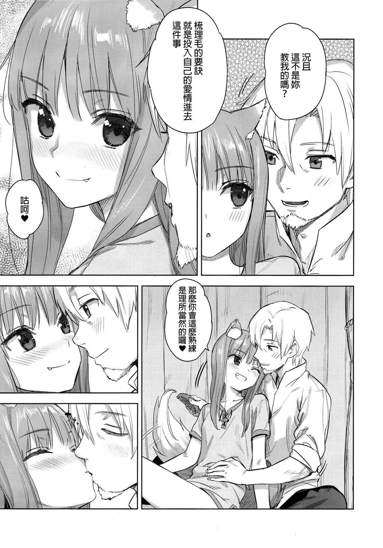 (C96) [アジサイデンデン (川上六角、小鳥遊レイ)] わっちとしっぽり毛づくろい本 (狼と香辛料) [中国翻訳]