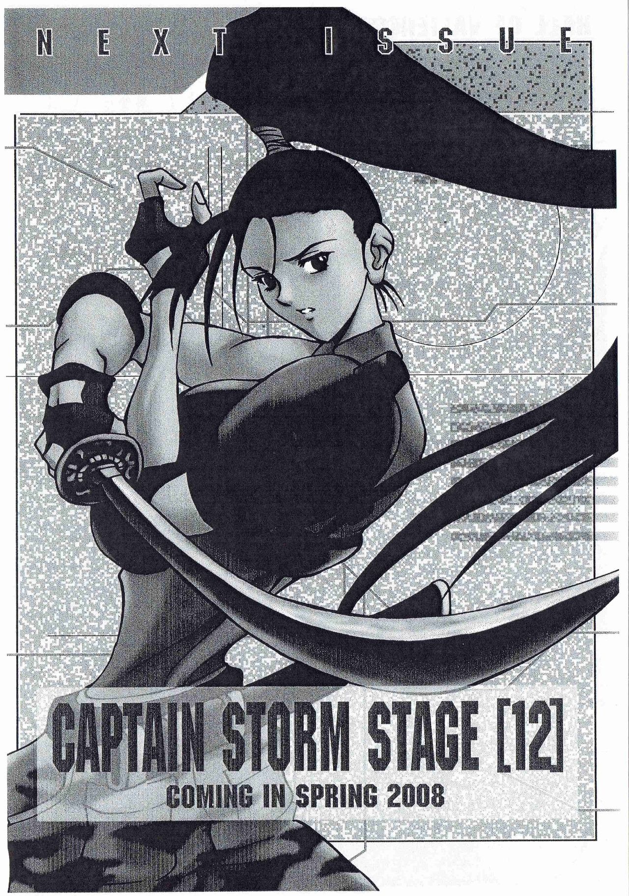 [旧騎士団(武紳)]CAPTAIN STORM STAGE 11 (カプコン)