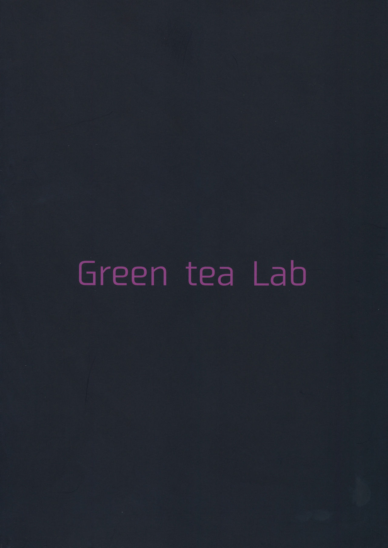 (C96) [Green tea Lab (みだりん)] 真夜中の永遠亭 (東方Project) [中国翻訳]