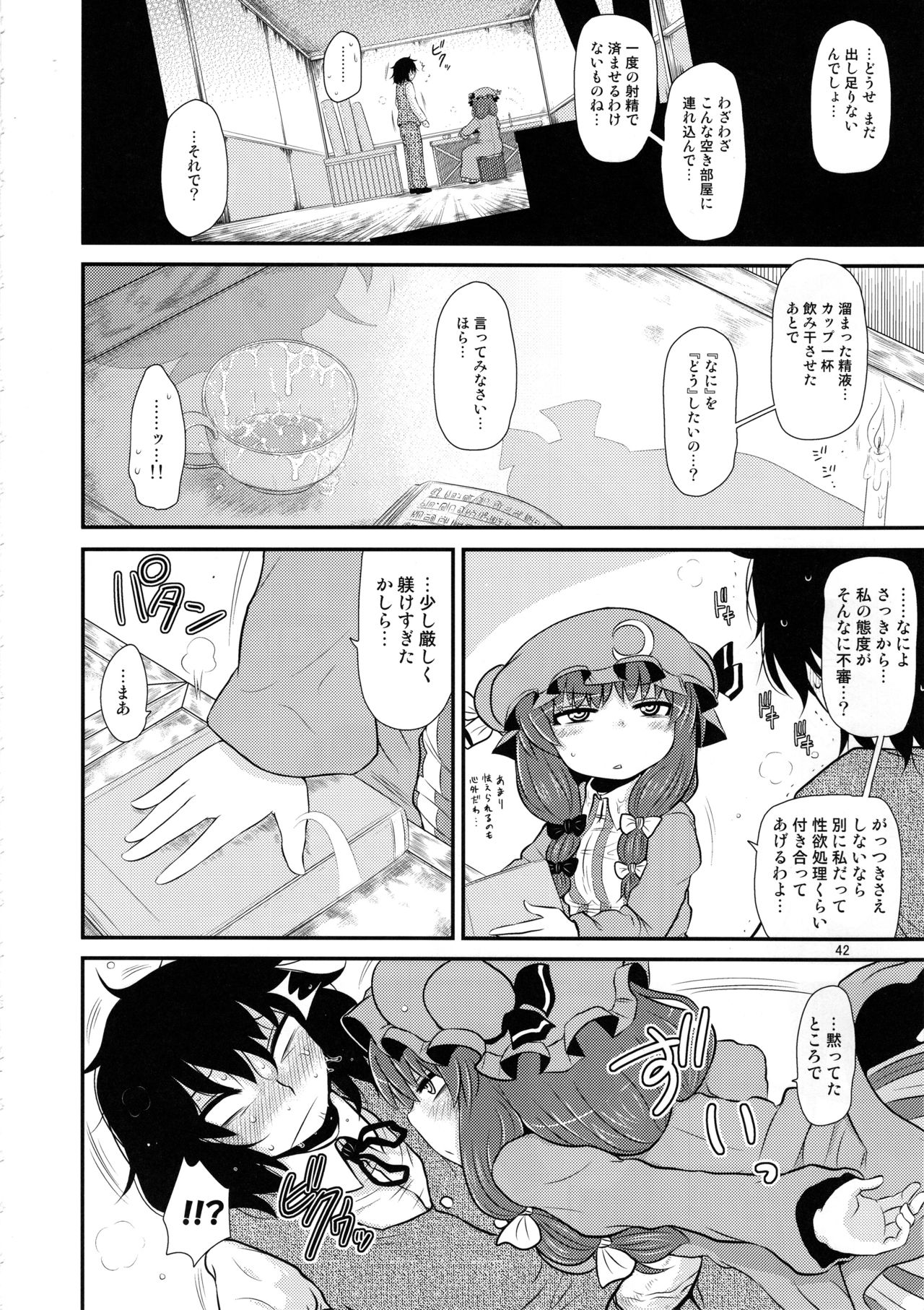 (C96) [川豚毒 (加藤フグオ)] するだけ。総集編 貳 (東方Project)