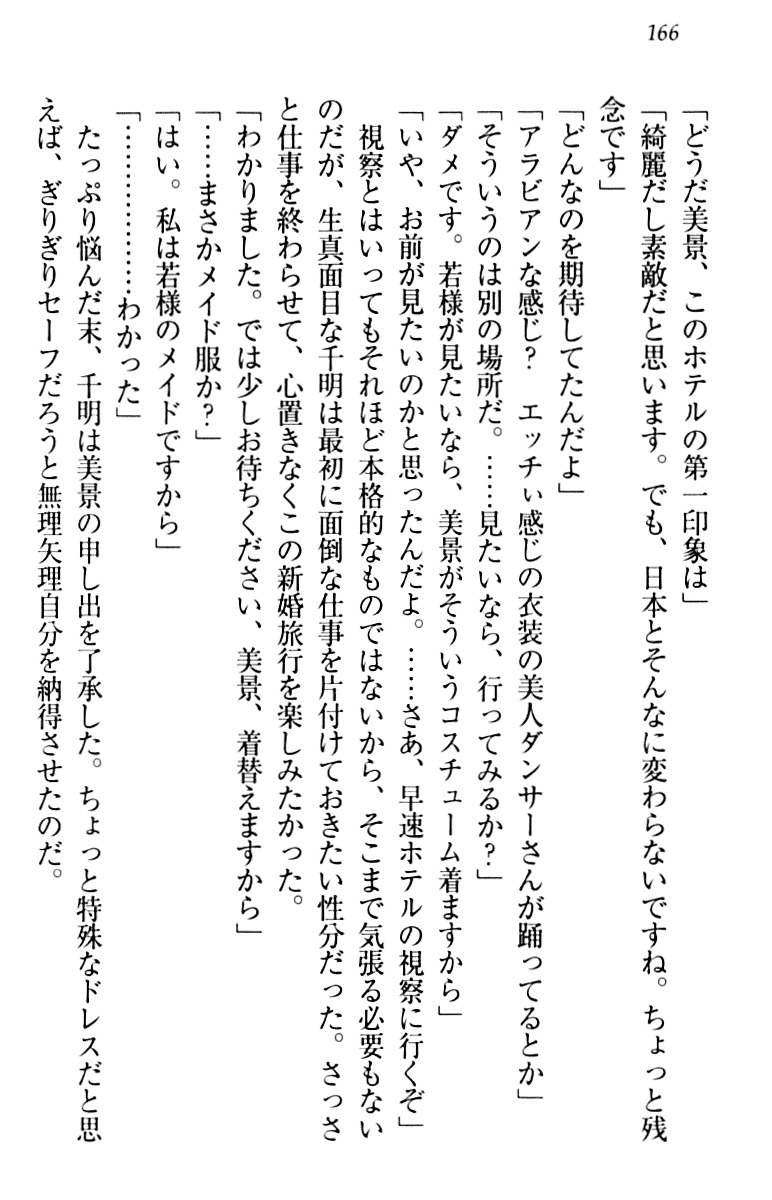 年上メイドの新婚日記