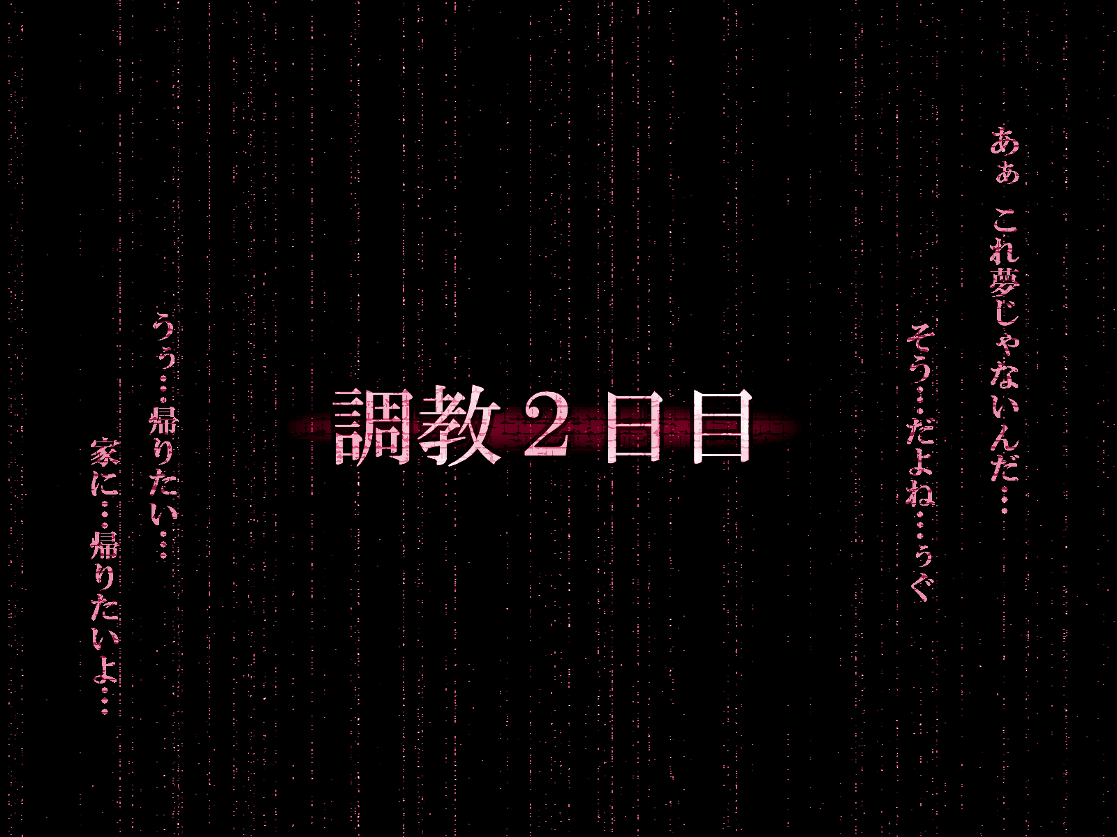 『檻』ー淫肉調教録ー